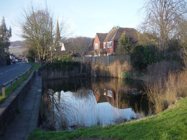 image of brockham pond